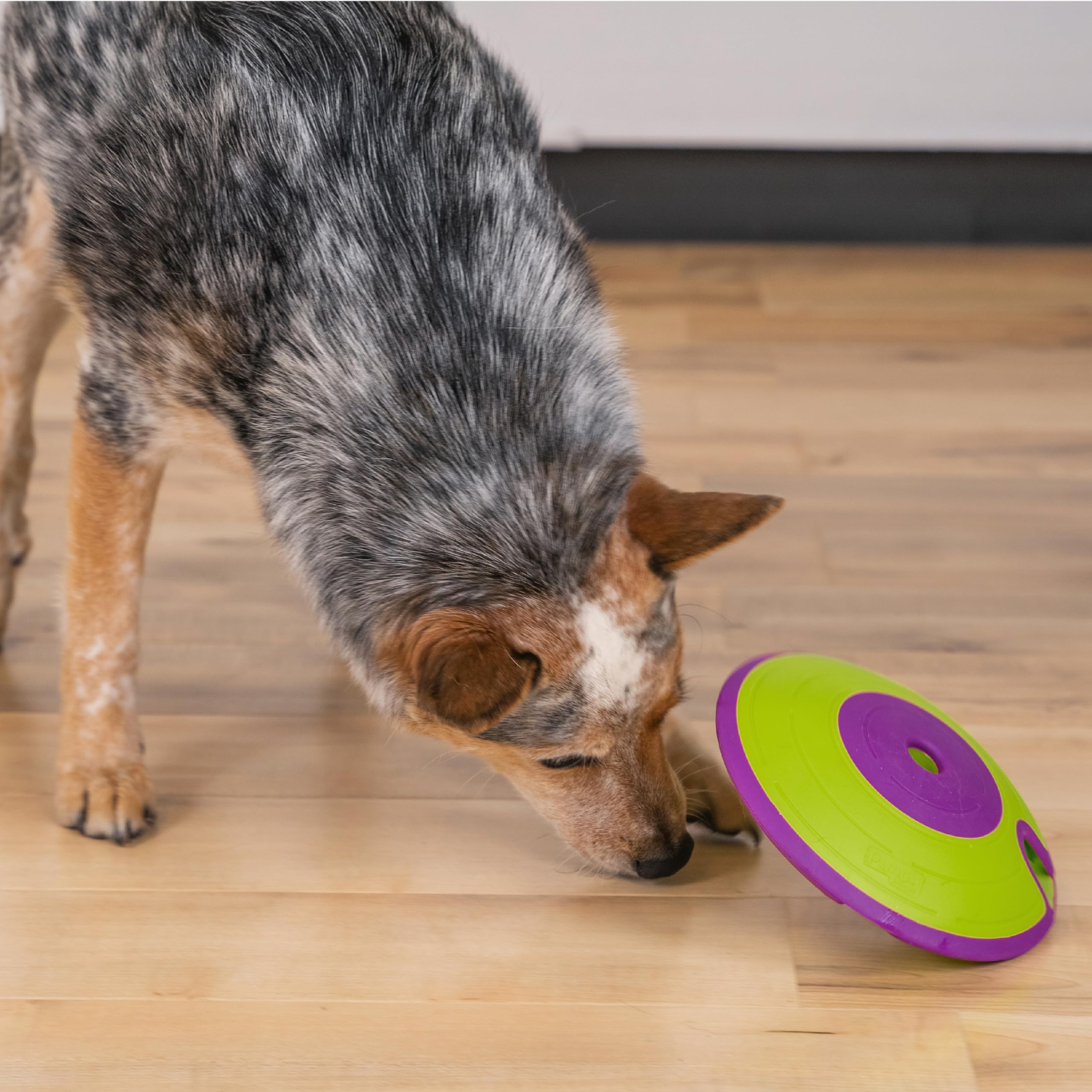 Foto 6 pulgar | Puzzle Dog Treat Maze, Juguete Outward Hound Nina Ottosson, Color Verde - Venta Internacional.