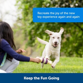 Foto 5 | Paquete Variado De Anillos Para Golosinas Para Perros Petsafe Busy Buddy, 24 Recambios - Venta Internacional.