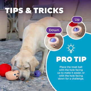 Foto 5 | Puzzle Interactivo Para Perros De Peluche Outward Hound Nina Ottosson - Venta Internacional.