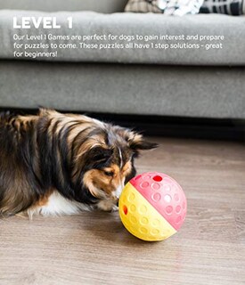 Foto 6 | Puzle Interactivo Para Dispensar Golosinas, Juguete Para Perros Outward Hound - Venta Internacional.