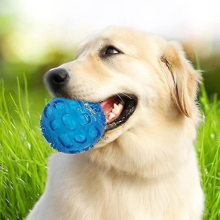 Pelota Elástica Pet Sounding Toy Golden Retriever Puppy - Venta Internacional.