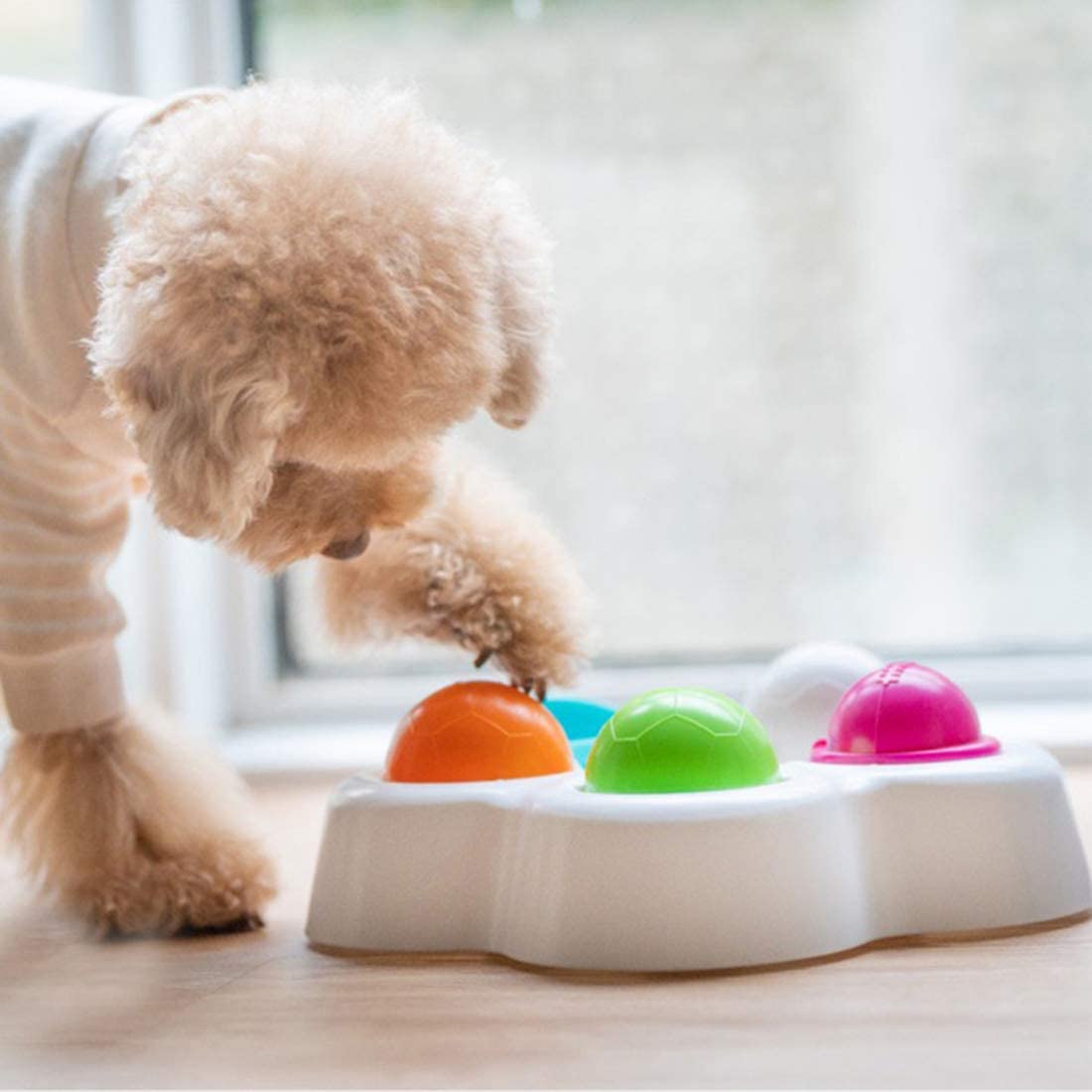 Juguete Inteligente Para Perros Pet Iq Para Principiantes Huoguo - Venta Internacional.