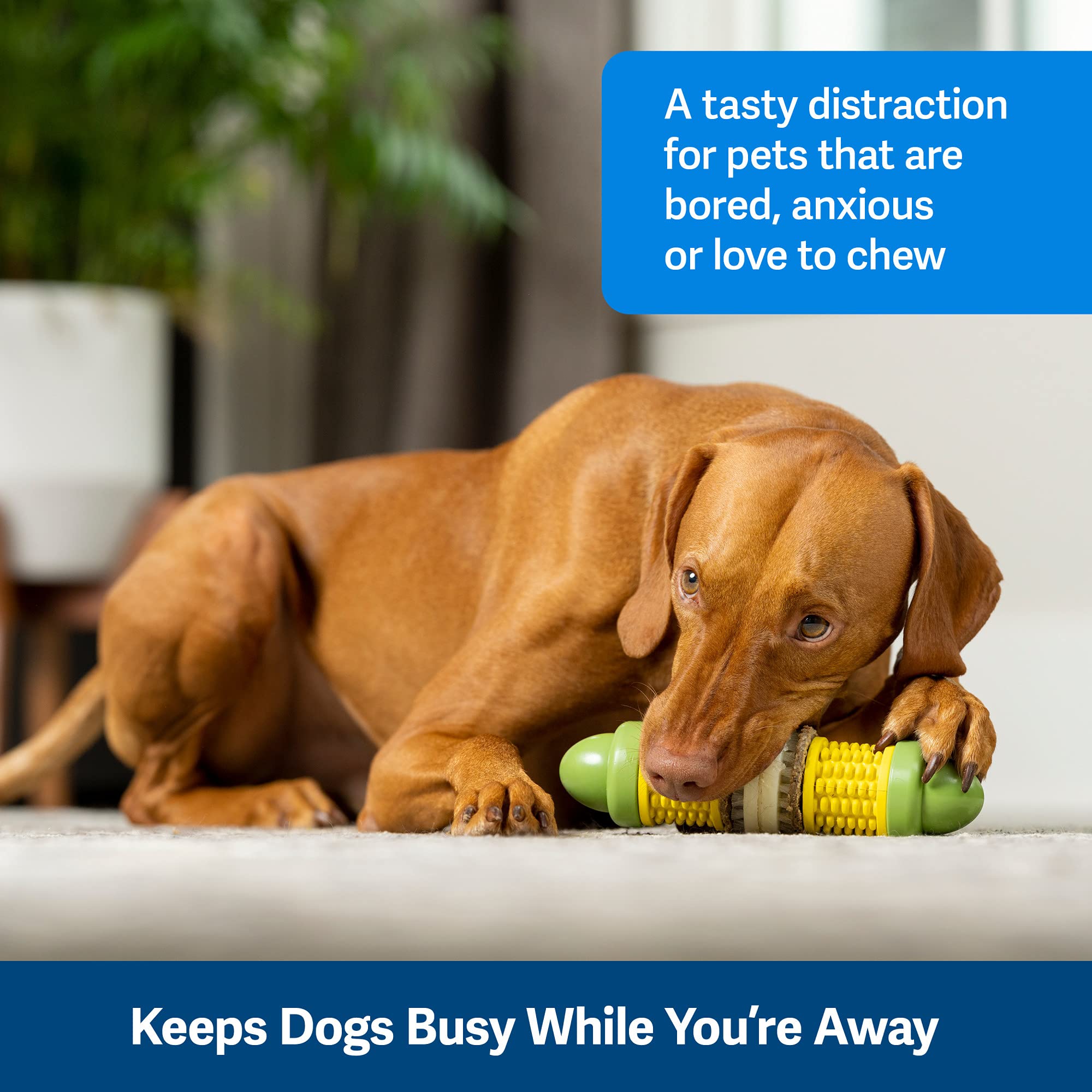Foto 3 pulgar | Juguete Masticable Petsafe Busy Buddy Cravin' Corncob Dog Sin Bpa - Venta Internacional.