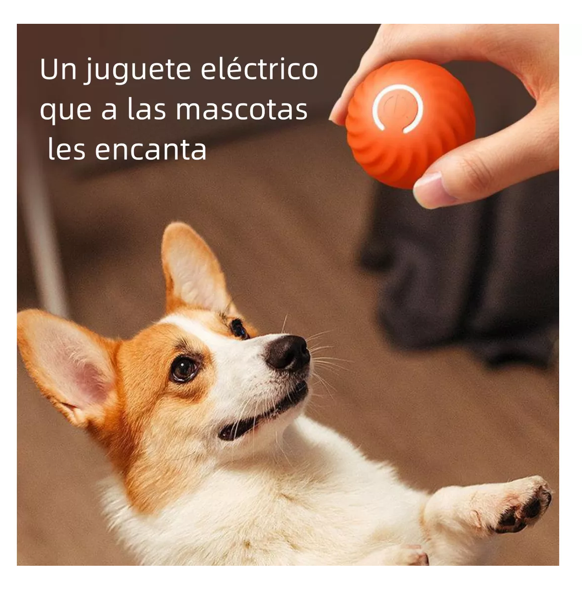 Foto 3 pulgar | Juguete Interactivo para Mascotas