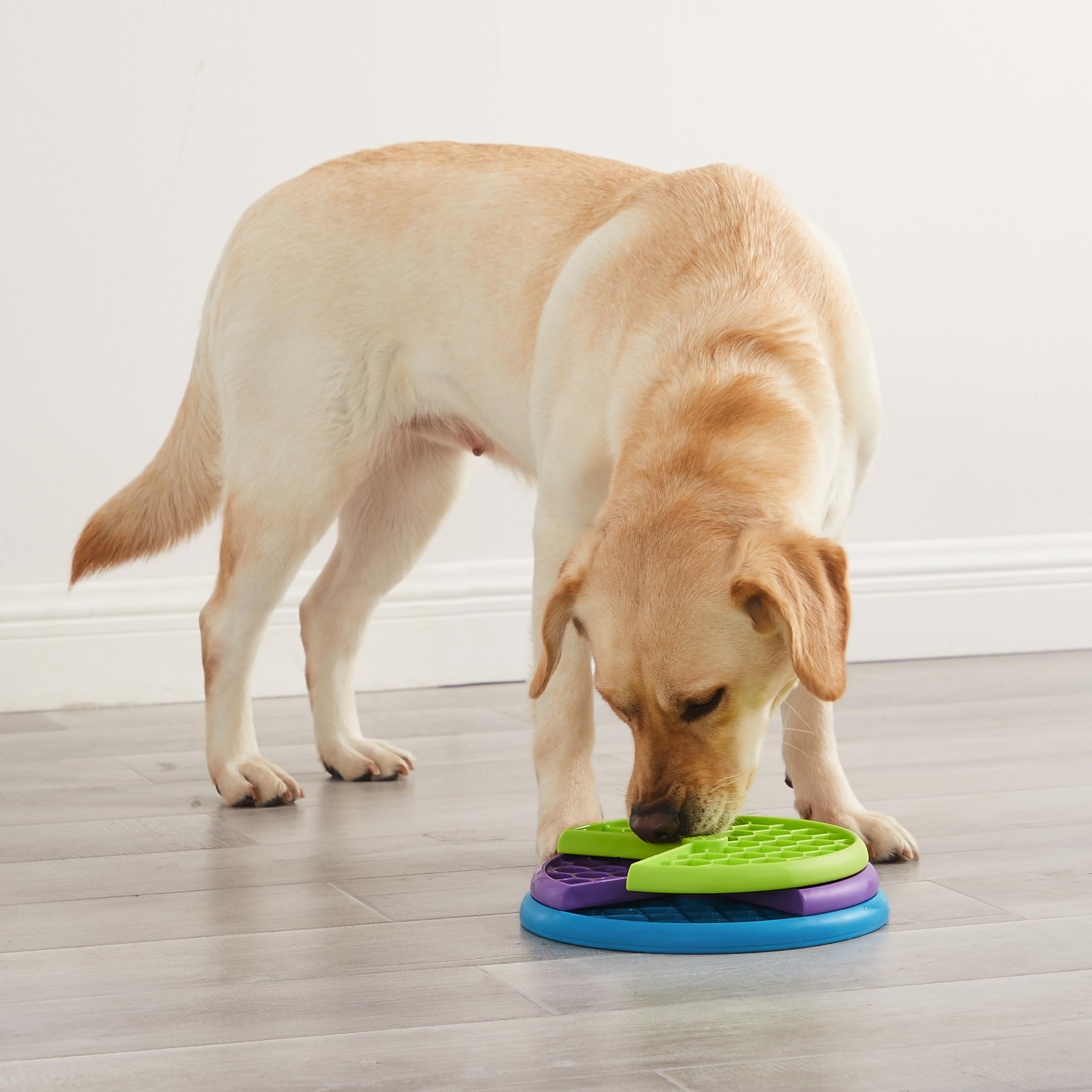 Foto 7 pulgar | Juego Interactivo De Rompecabezas Para Perros Y Alimentador Lento Outward Hound - Venta Internacional.
