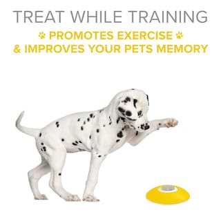Foto 2 | Dispensador De Golosinas Arf Pets, Juguete De Entrenamiento De Memoria Para Perros - Venta Internacional.