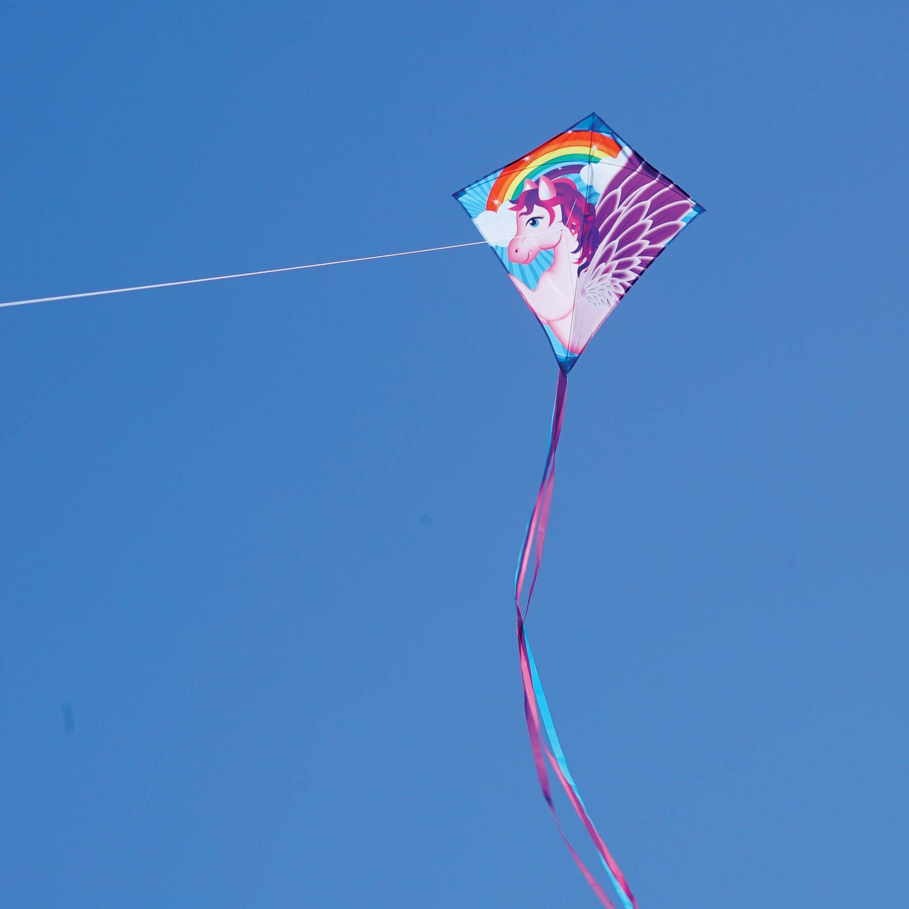 Foto 3 pulgar | Tela Ripstop Kite In The Breeze Pegasus De 76 Cm Con Cola De 3,7 M - Venta Internacional.