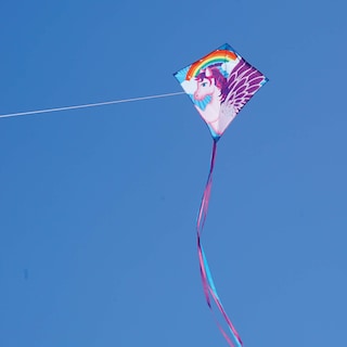 Foto 2 | Tela Ripstop Kite In The Breeze Pegasus De 76 Cm Con Cola De 3,7 M - Venta Internacional.