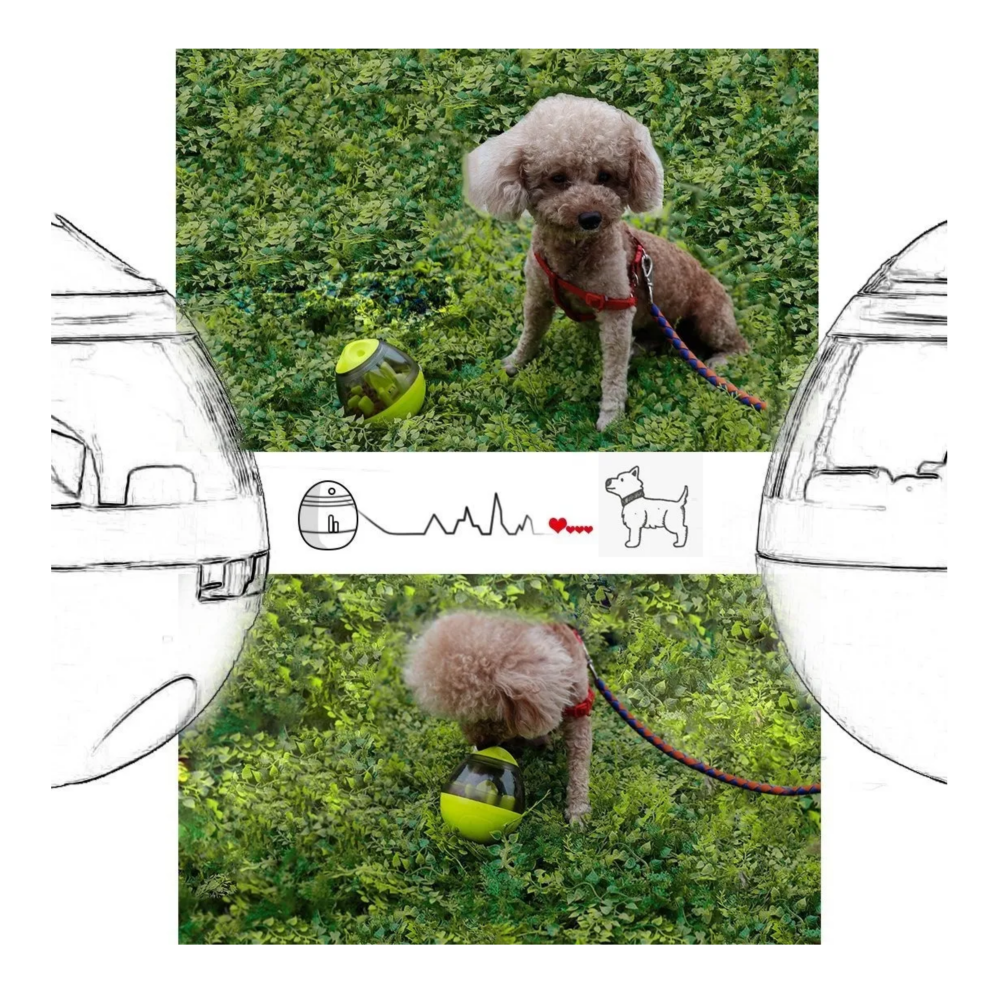 Foto 6 pulgar | Juguetes Para Perros Pelotas De Juguetes Interactivos Lab.g, Verde Transparente