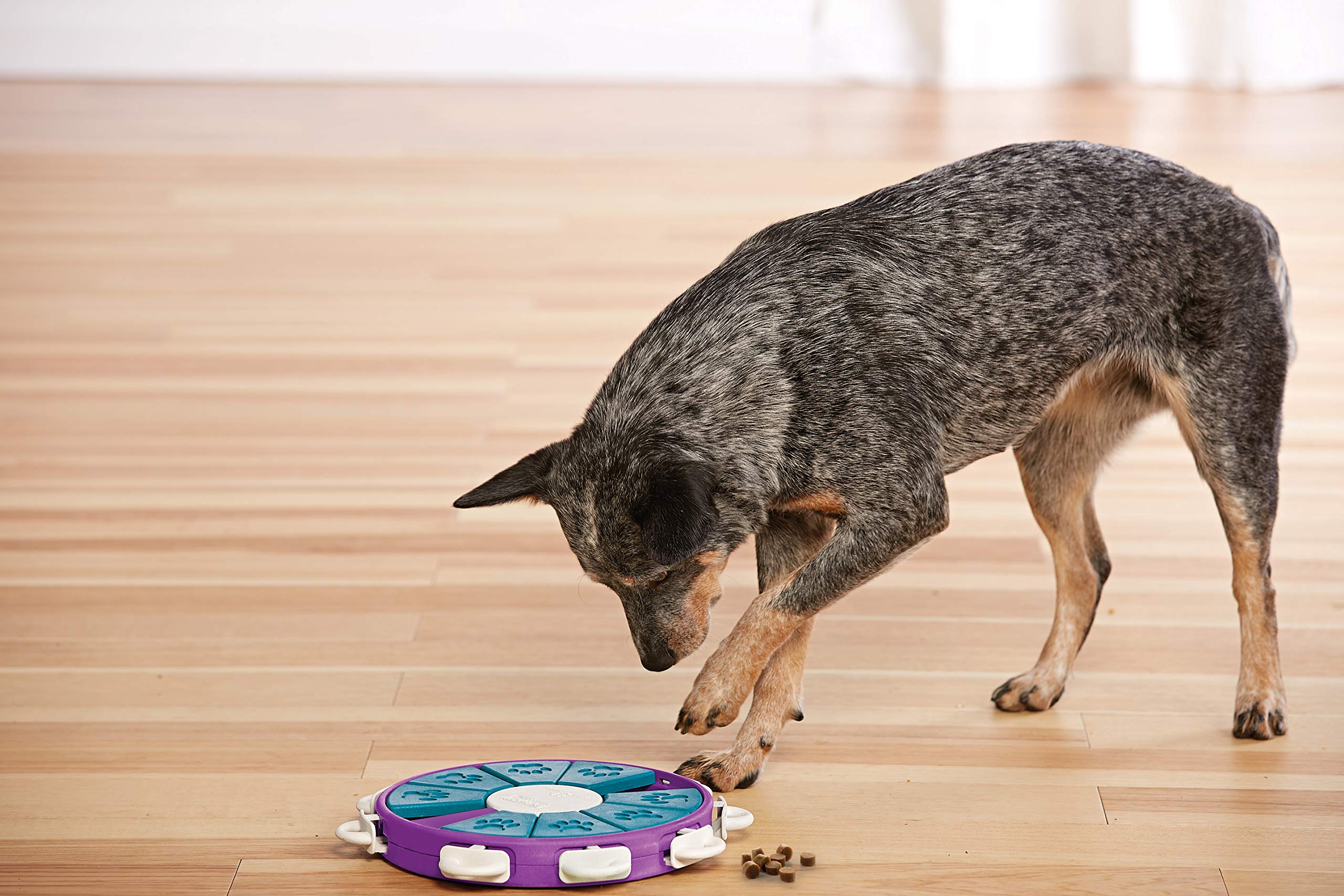 Foto 7 | Juguete Para Perros Outward Hound Nina Ottosson Dog Twister Level 3, Color Morado - Venta Internacional.