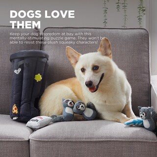 Foto 2 | Juguete De Peluche Para Perros Puzzle Outward Hound Hide A Raccoon - Venta Internacional.