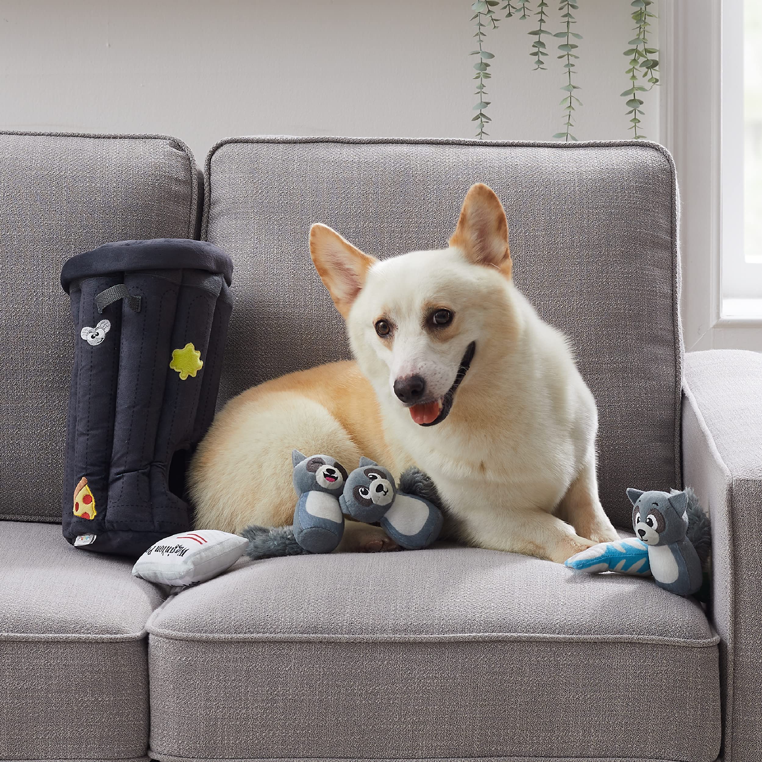 Foto 7 pulgar | Juguete De Peluche Para Perros Puzzle Outward Hound Hide A Raccoon - Venta Internacional.