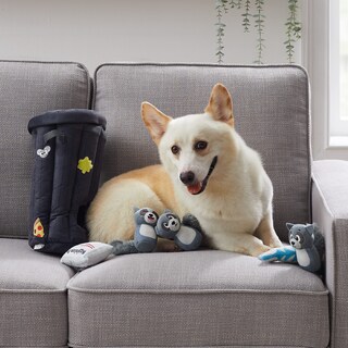 Foto 6 | Juguete De Peluche Para Perros Puzzle Outward Hound Hide A Raccoon - Venta Internacional.