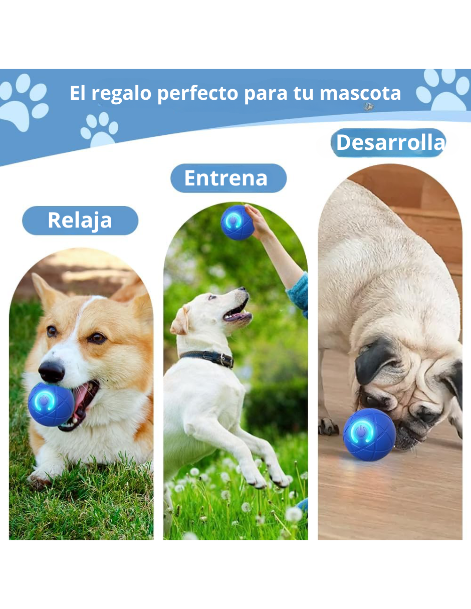 Foto 5 pulgar | Pelota Led Interactiva Para Mascotas Color Azul