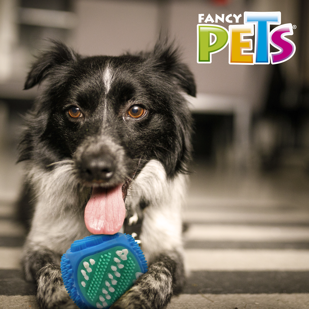 Foto 4 pulgar | Juguete Dental Fancy Pets en Forma de Cubo con Cerdas para Perro