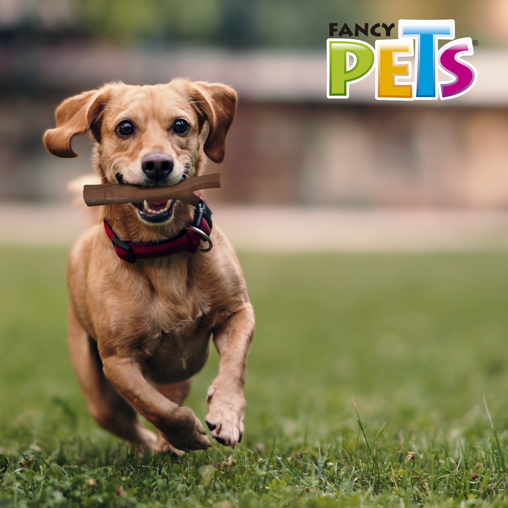 Foto 4 pulgar | Juguete Fancy Pets para Mascota