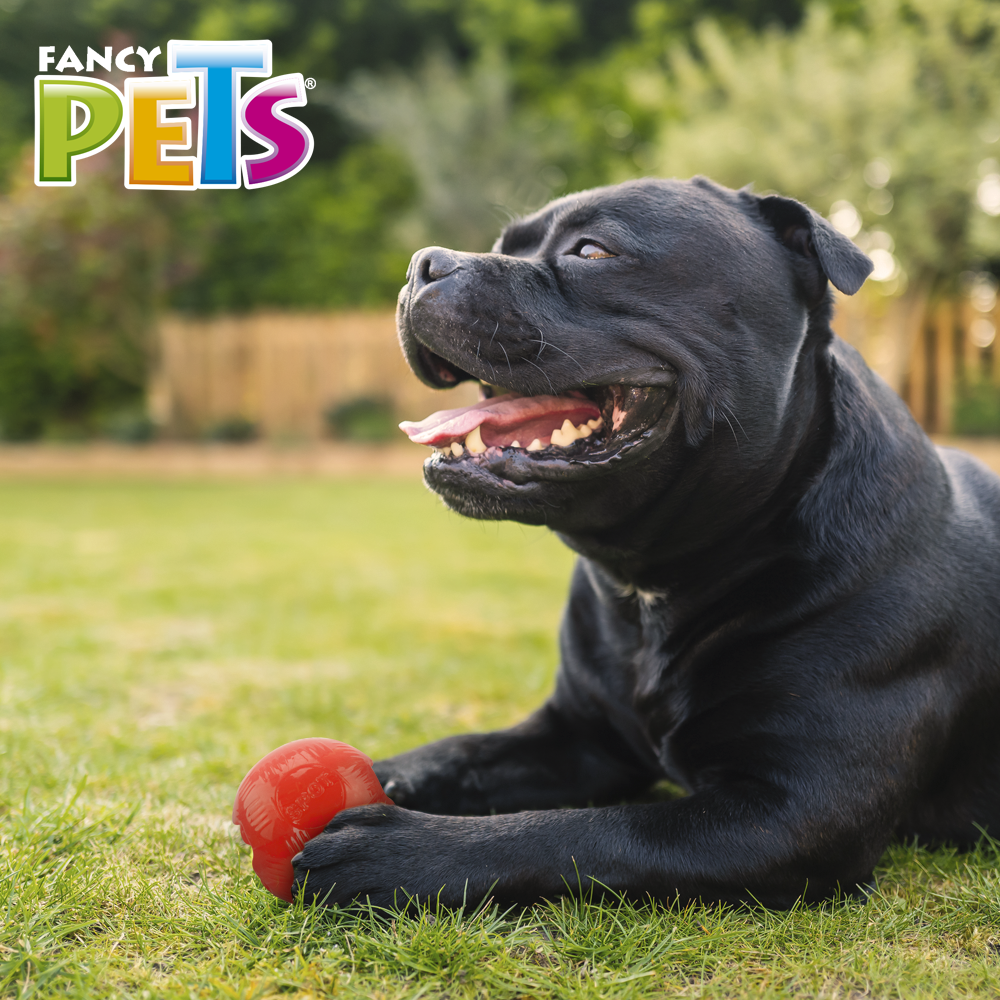 Foto 4 | Juguete Bola Fancy Pets Xtreme FL9314 color Rojo para Perro Tamaño Mediana