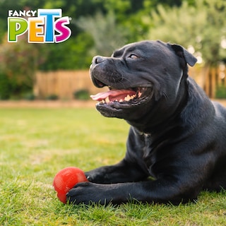 Foto 4 | Juguete Bola Fancy Pets Xtreme FL9314 color Rojo para Perro Tamaño Mediana
