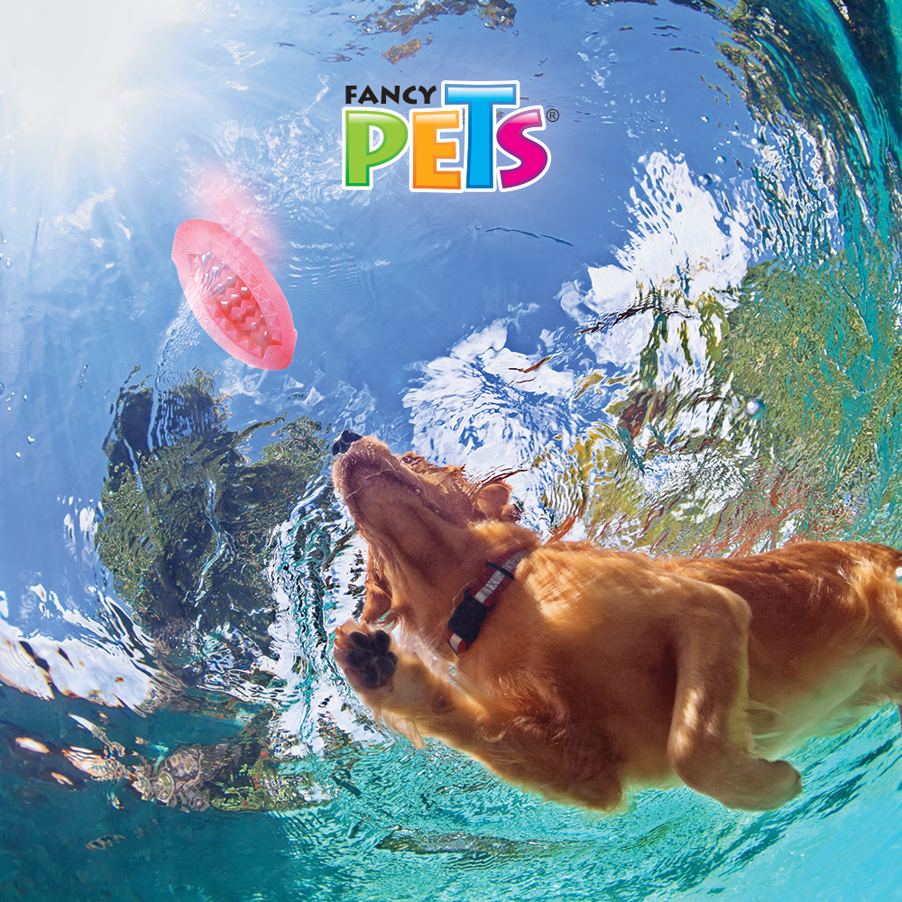 Foto 4 pulgar | Juguete Chew Balón de Americano Fancy Pets Masticable para Perro Tamaño Grande