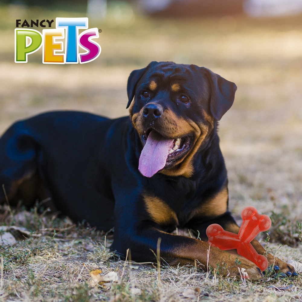 Foto 4 pulgar | Juguete Fancy Pets Xtreme FL9329 color Rojo Hueso Triple para Perro Tamaño Grande
