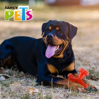 Foto 3 | Juguete Fancy Pets Xtreme FL9329 color Rojo Hueso Triple para Perro Tamaño Grande