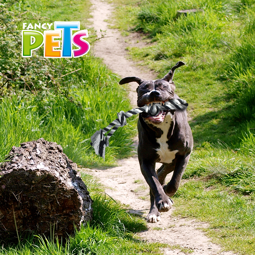 Foto 3 pulgar | Juguete de Hilo Fancy Pets con 3 Nudos Tamaño 56 Centímetros para Perro