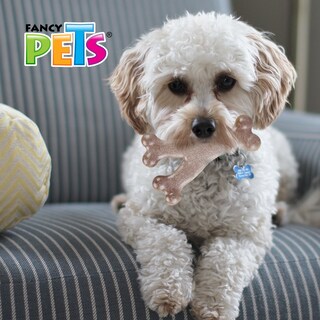 Foto 2 | Juguete Hueso Triple Fancy Pets FL9306 de Bambú Sabor Tocino para perro Tamaño Chico
