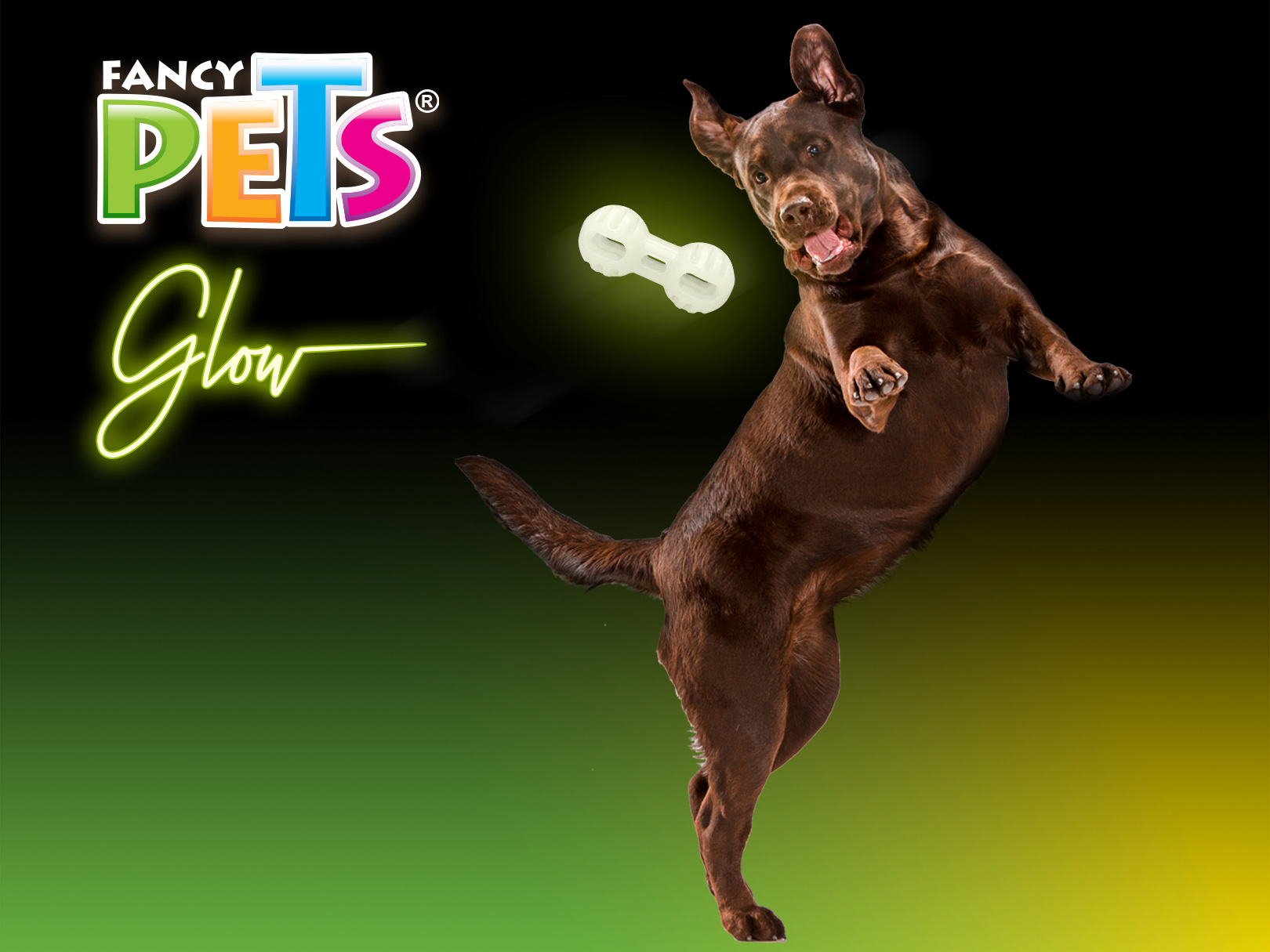 Foto 4 pulgar | Juguete Pesa Glow Fancy Pets FL8788 para Perro Brilla en la Oscuridad Tamaño Grande