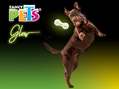 Foto 3 | Juguete Pesa Glow Fancy Pets FL8788 para Perro Brilla en la Oscuridad Tamaño Grande