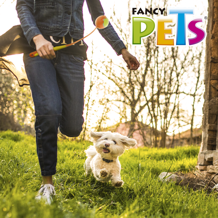 Foto 6 pulgar | Juguete Lanzador de Pelota Fancy Pets FL9422 para Perro Tamaño Grande