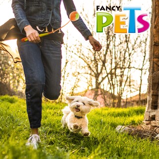 Foto 5 | Juguete Lanzador de Pelota Fancy Pets FL9422 para Perro Tamaño Grande
