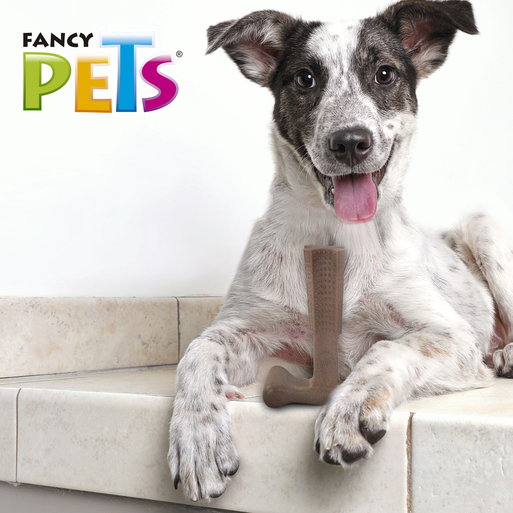 Foto 4 pulgar | Hueso Bambú Plus Fancy Pets FL9324 Juguete para Morder Sabor Carne para Perro Tamaño Mediano