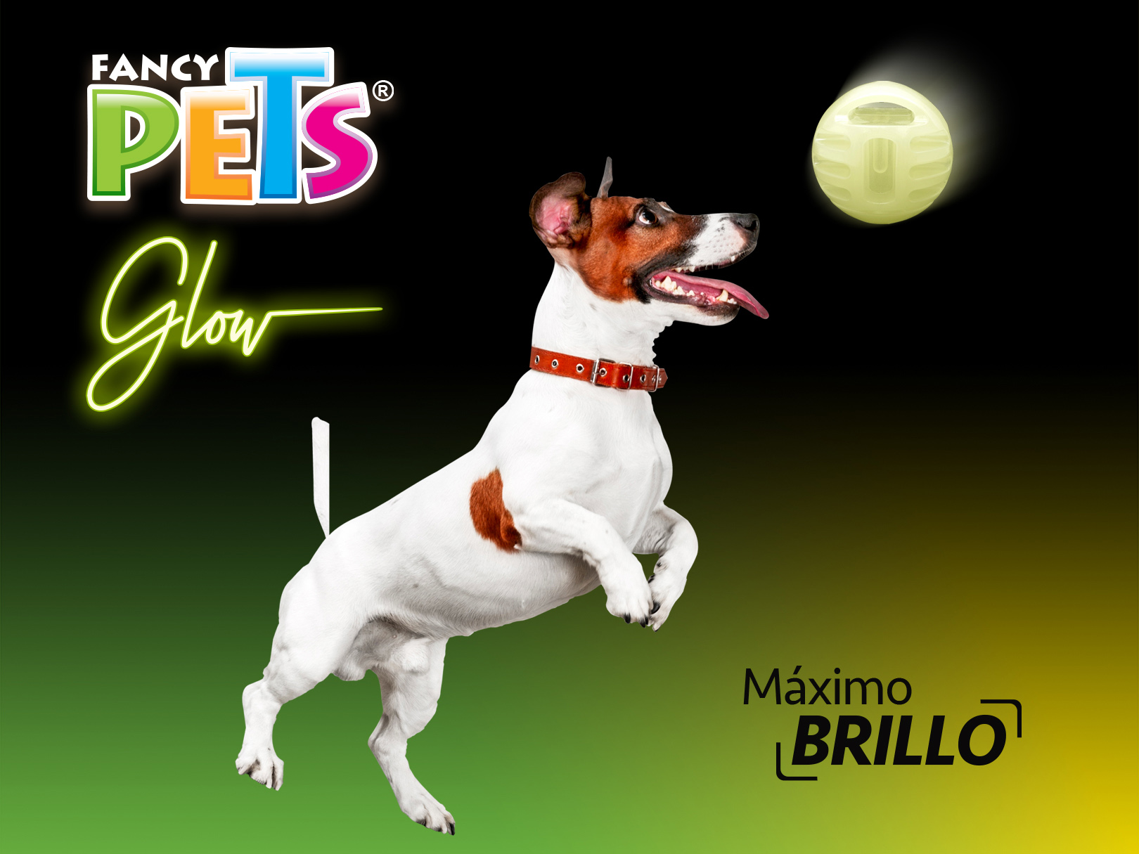 Foto 4 pulgar | Juguete de Pelota Glow Fancy Pets que Brilla en la Oscuridad para Perro