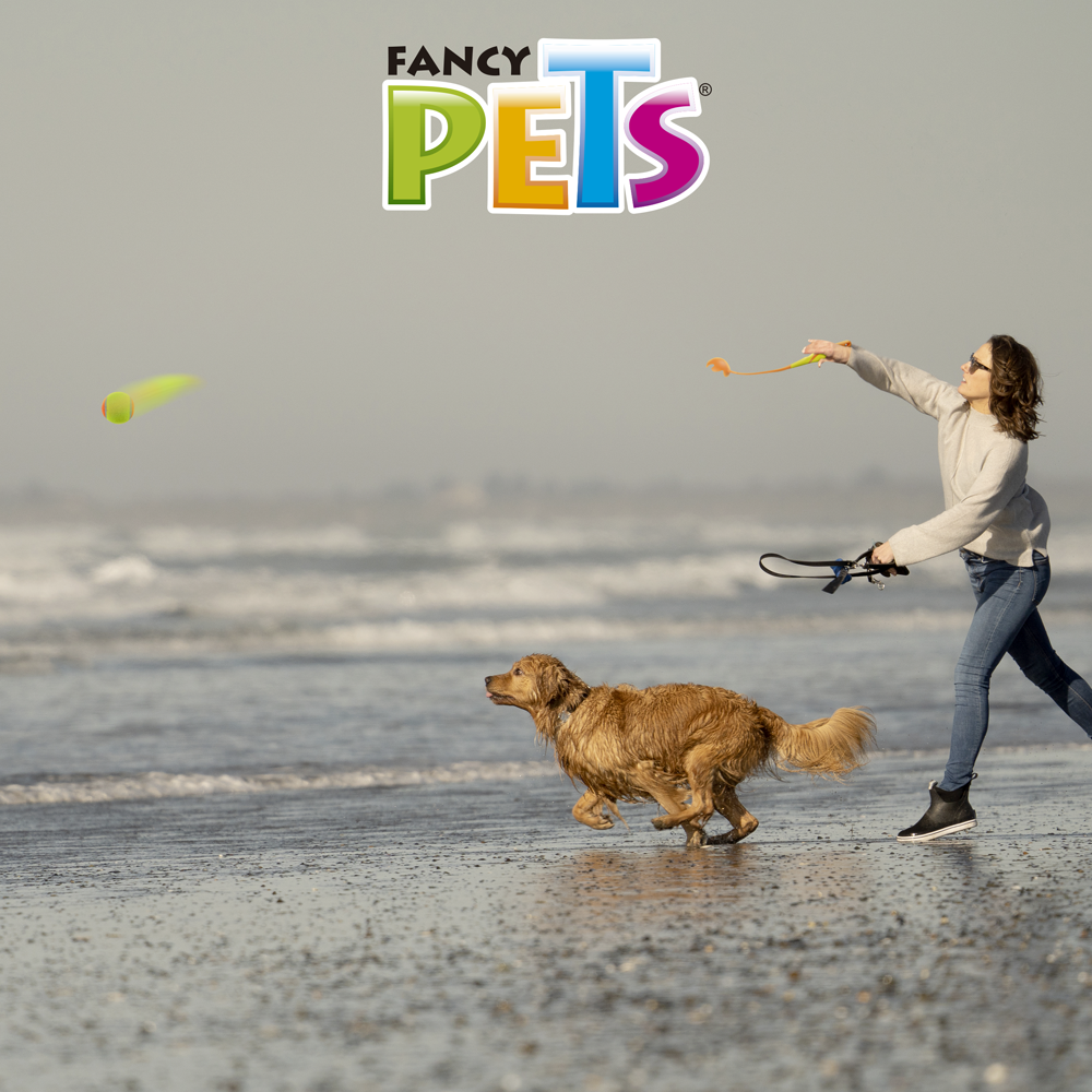 Foto 6 pulgar | Juguete Lanzador de Pelota Fancy Pets Tamaño Chico para Perro