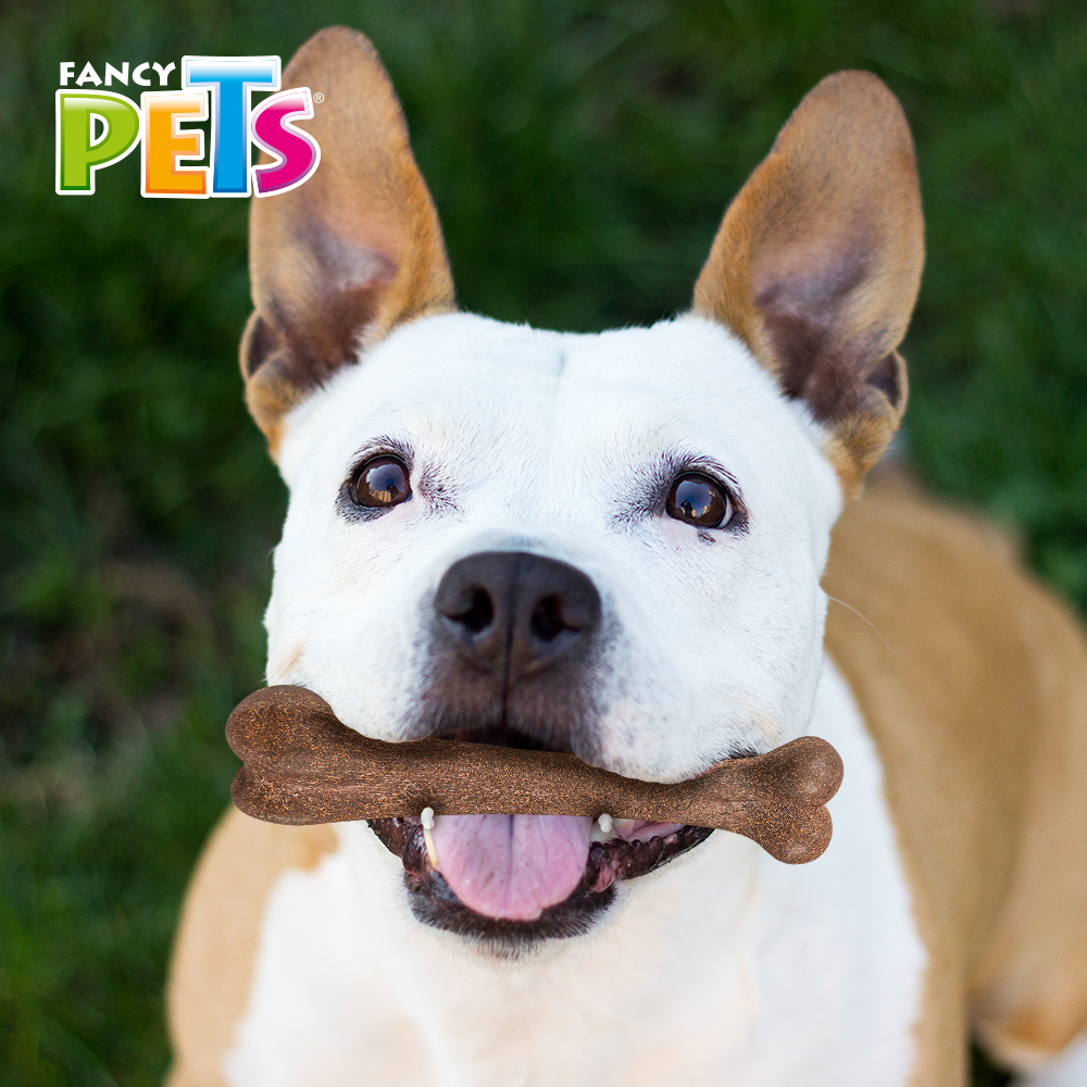 Foto 3 pulgar | Juguete Hueso Fancy Pets para Morder con Fibra de Bambú Sabor Tocino para Perro