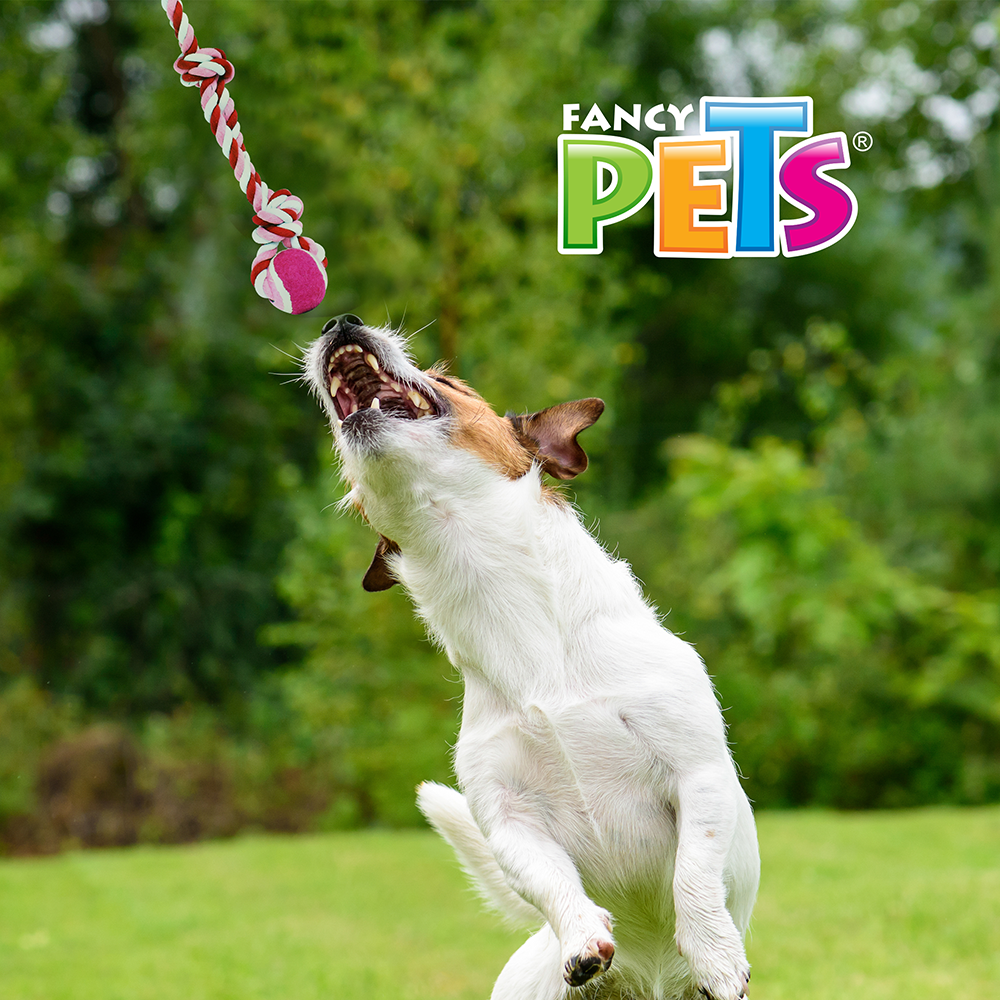 Foto 4 pulgar | Juguete Cuerda de Soga y Pelota para Perro Fancy Pets