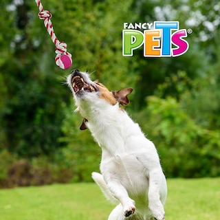 Foto 3 | Juguete Cuerda de Soga y Pelota para Perro Fancy Pets