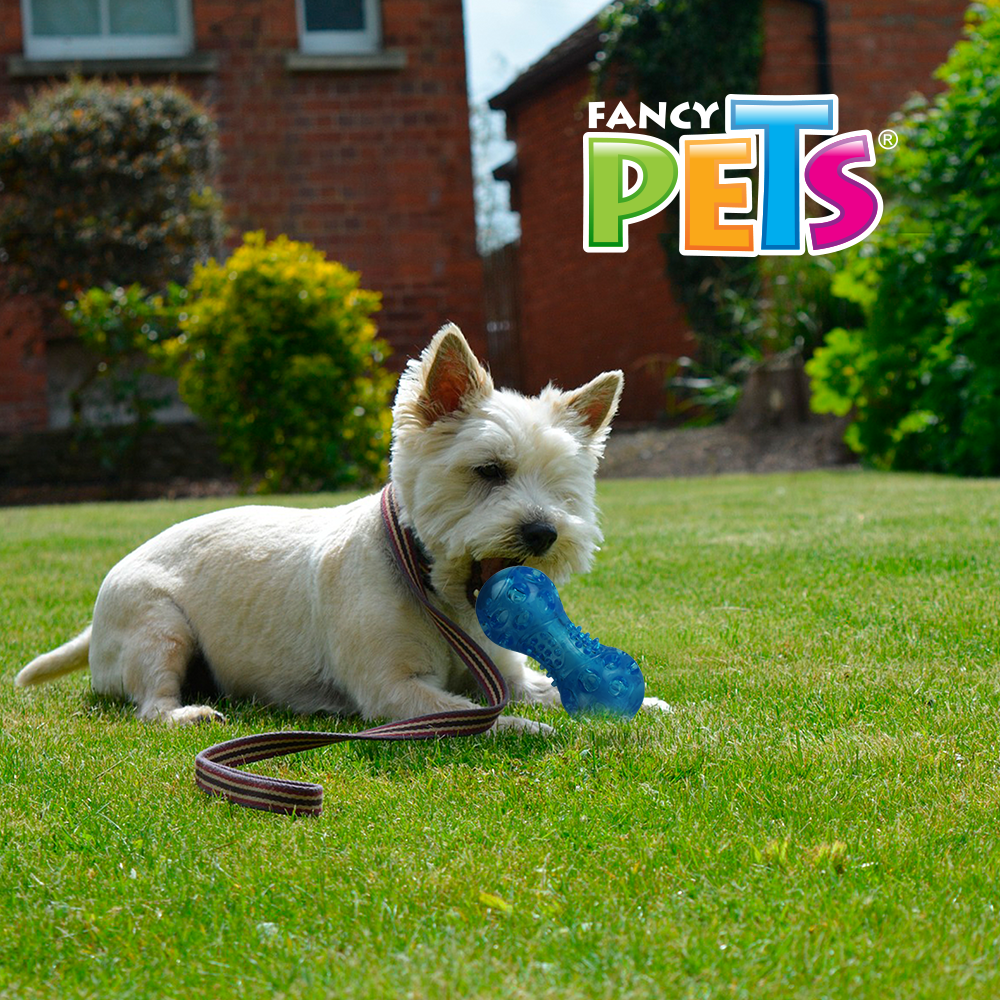 Foto 5 pulgar | Pesa Flexible para Perro Fancy Pets con Sonido