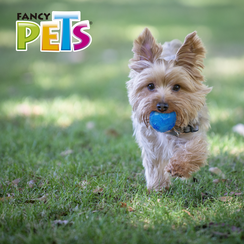 Foto 2 | Pelota para Perro Fancy Pets con Sonido