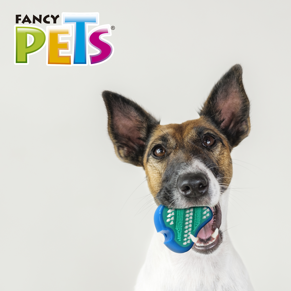 Foto 5 pulgar | Juguete Dental para Perro Fancy Pets en Forma de Filete con Cerdas