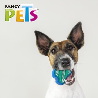 Foto 4 | Juguete Dental para Perro Fancy Pets en Forma de Filete con Cerdas