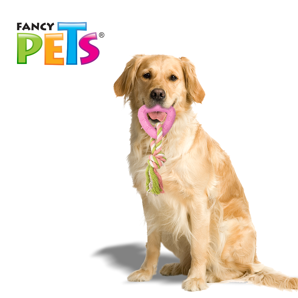Foto 4 pulgar | Juguete para Perro Fancy Pets de Caucho Triángulo con Cuerda