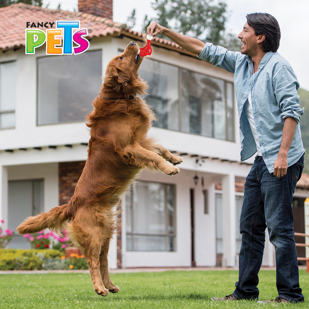 Foto 4 pulgar | Juguete Dental para Perro Fancy Pets Sabor Pollo