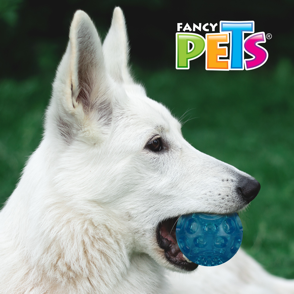 Foto 2 | Pelota de Juguete para Perro Fancy Pets con Sonido color Azul