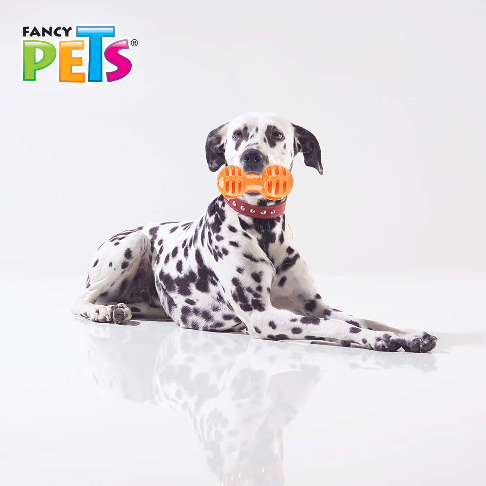 Foto 4 pulgar | Juguete Pesa para Meter Premios para Perros Fancy Pets