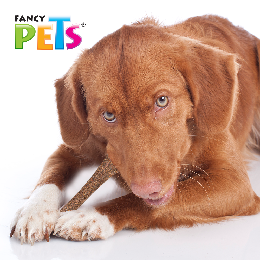 Foto 3 pulgar | Juguete para Perro para Morder con Fibra de Bambú Fancy Pets