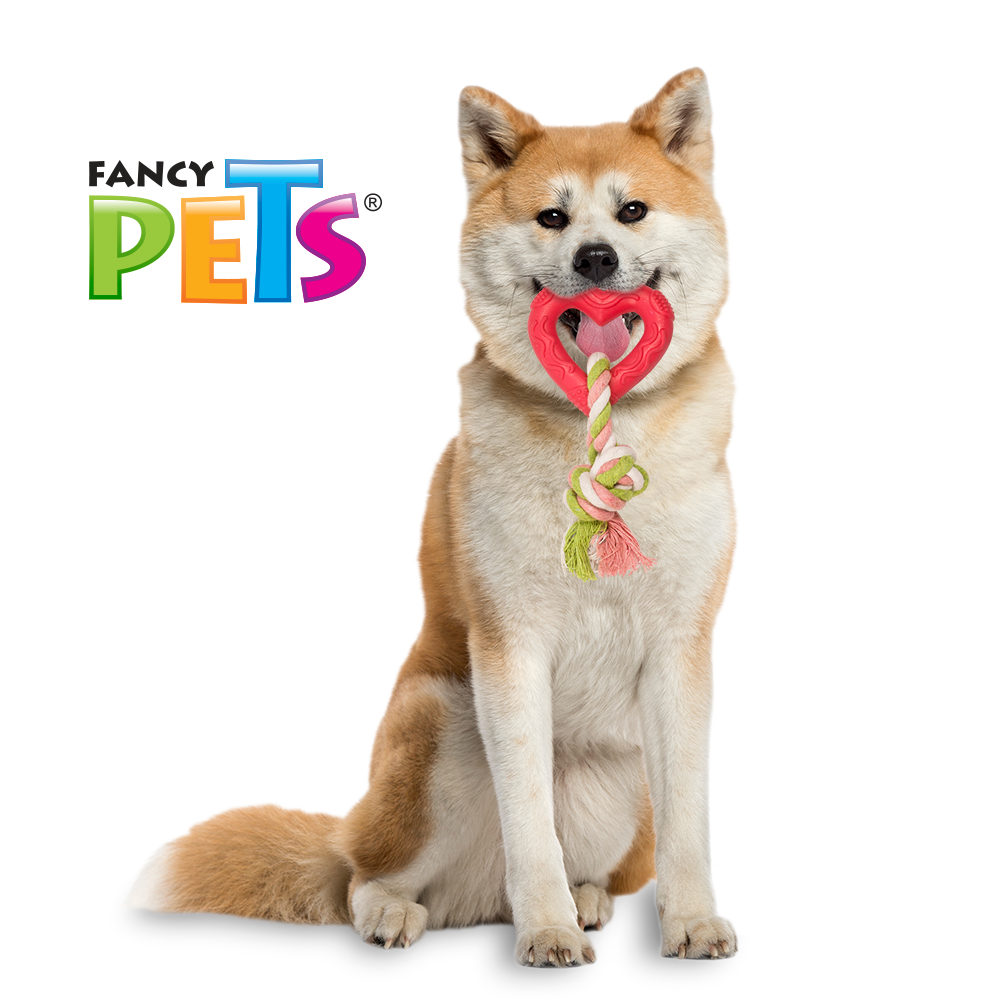 Foto 4 pulgar | Juguete para Perro Fancy Pets Corazón con Cuerda