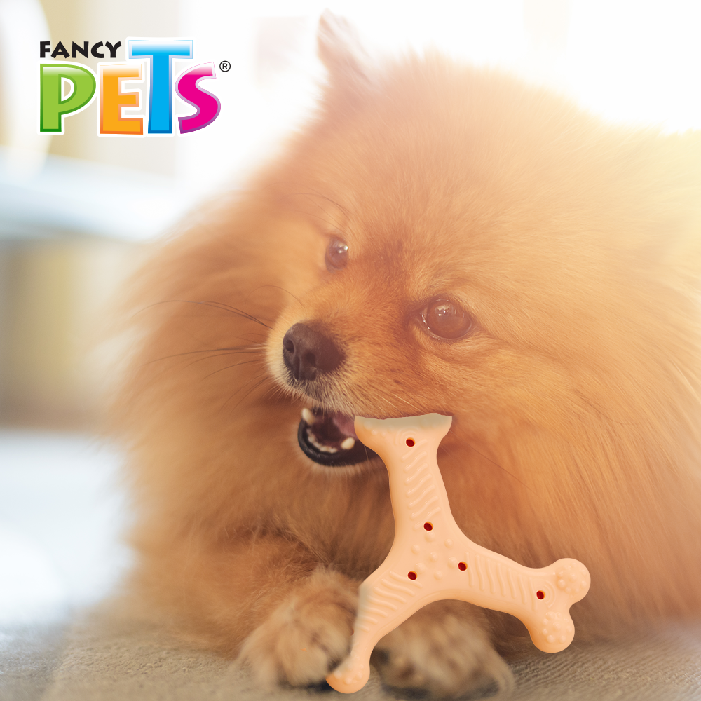 Foto 4 pulgar | Fancy Pets Red Alert Juguete Rojo Forma Hueso Triple Con Sabor A Pollo Para Perro