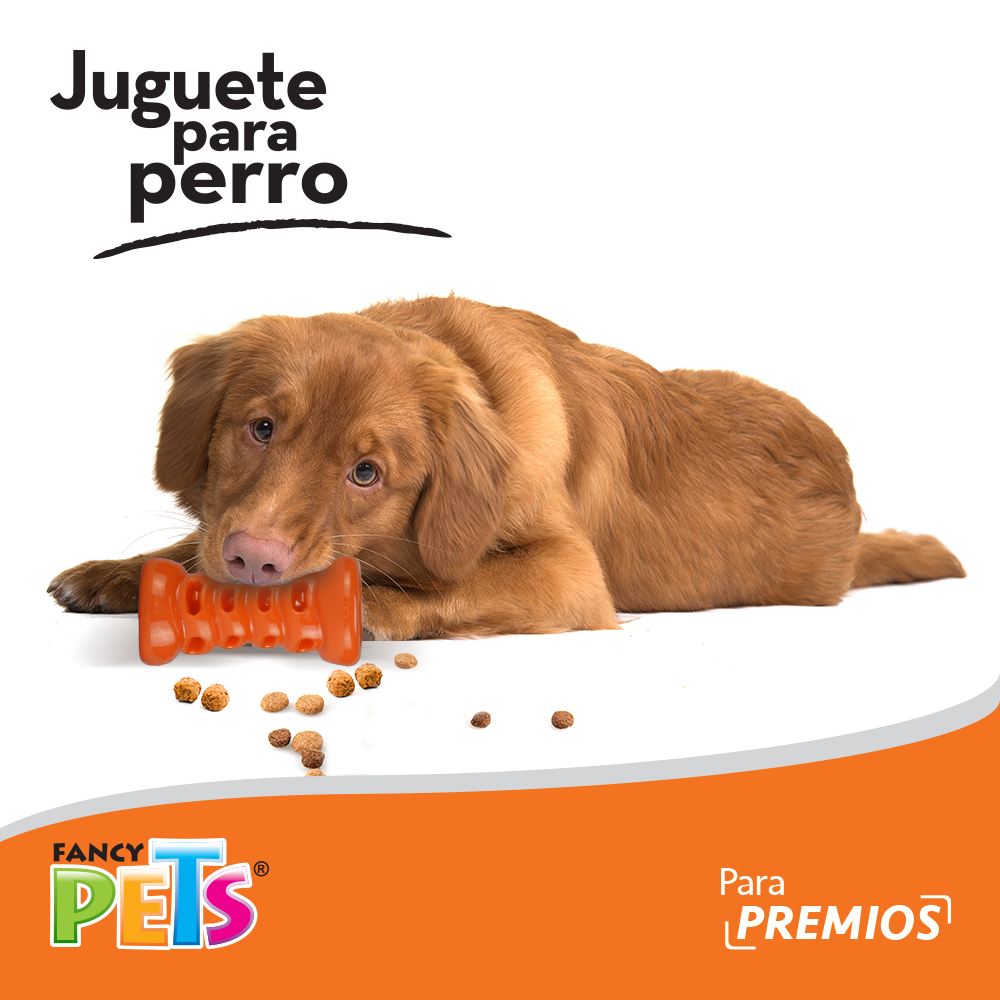 Foto 4 pulgar | Fancy Pets Juguete Cilindro Para Meter Premios Para Perro Tamaño Chico