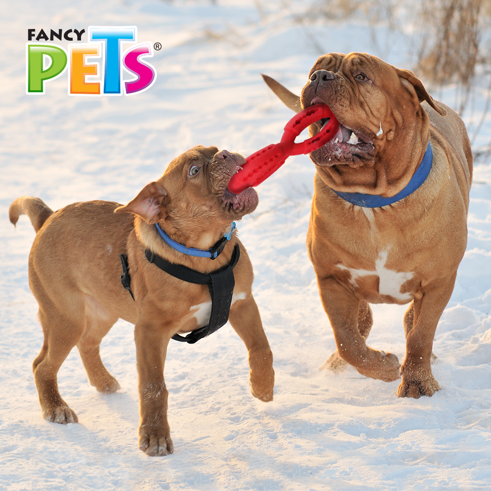 Foto 4 pulgar | Fancy Pets Juguete Chew Eslabón Masticable Para Perro Tamaño Mediano
